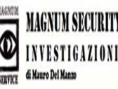 Magnum Security