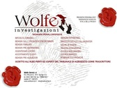 Logo Wolfe Servizi srl