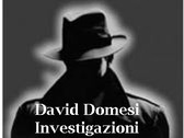 Logo David Domesi Investigazioni