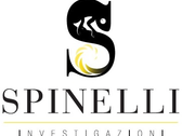 Logo Spinelli Investigazioni s.r.l.
