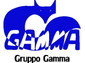 Gruppo Gamma Investigazioni