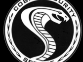 Cobra Service Multiservizi