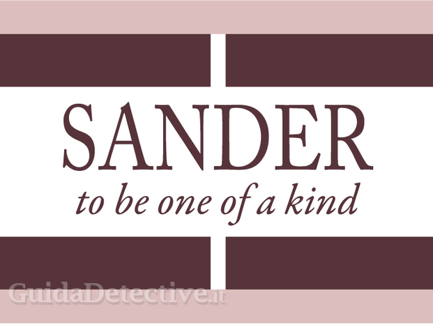 SANDER logo.jpg