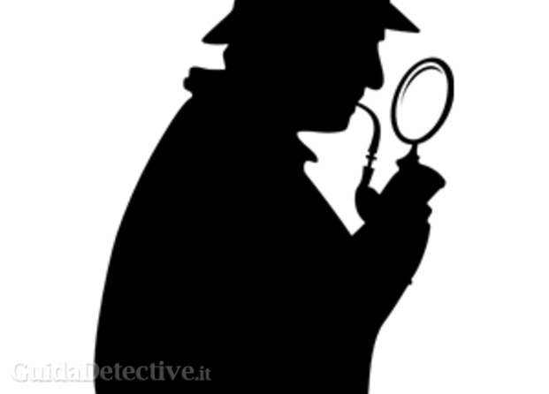 Consulting detective