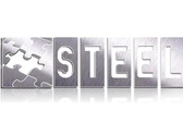 Steel Srl Investigazioni e Sicurezza