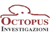 Investigazioni Octopus