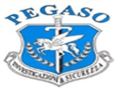 Pegaso Service Group